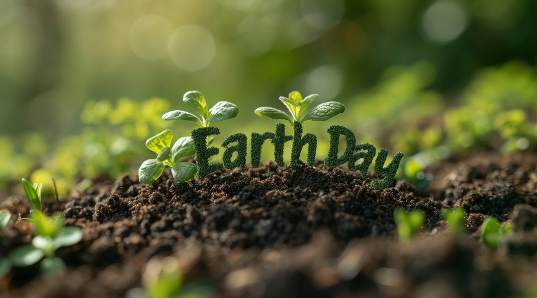 Earth Day Prompts Global Awareness, National Celebration, And Personal Responsibility