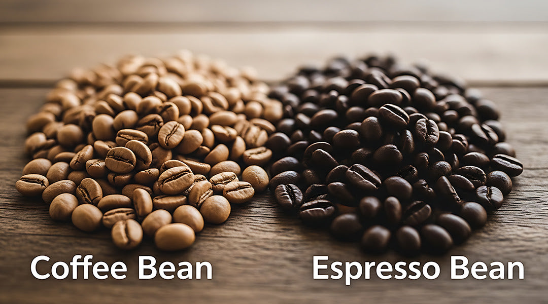 Coffee Bean vs Espresso Bean: What's the Real Difference?
