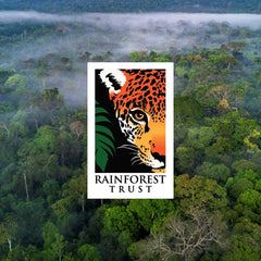 Rainforest Trust - Why This Partnership Means Everything To Our People, Our Product, And Our Planet