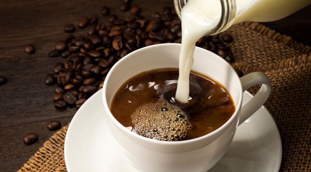 Milk In Your Coffee - Which Milks Best Enhance Your Brew