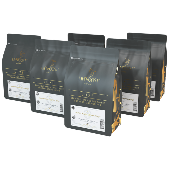 Organic Cajamarca Microlot - Lifeboost Coffee