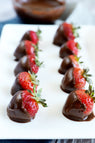 Diabetic Kitchen Sugar Free Hazelnut Chocolate Spread - Lifeboost Coffee