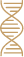 list-icon