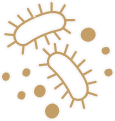 list-icon